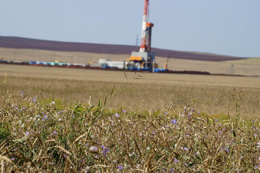 Krovelson поставит металлокаркас для Царичанского нефтяного месторождения